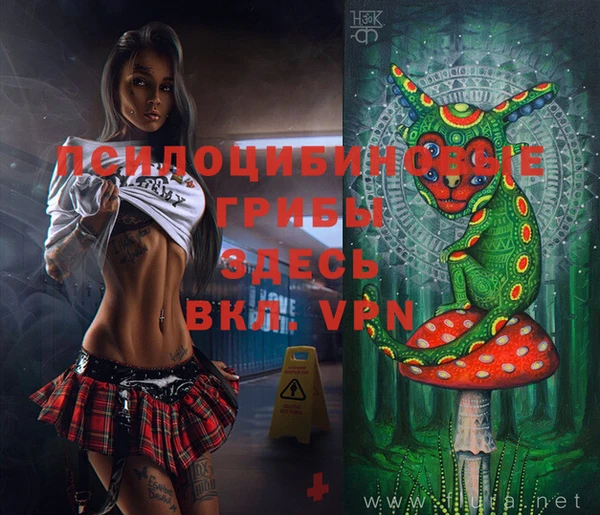 синтетический гашиш Заволжье