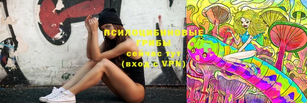 дживик Елизово